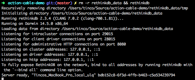 Image of RethinkDB starting up in the terminal