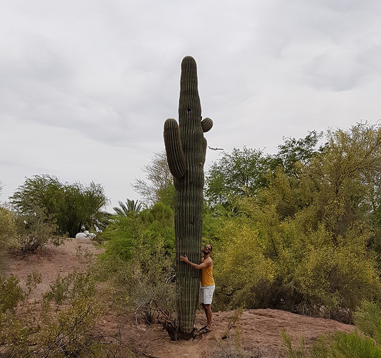 Biggest Cactus Ever!